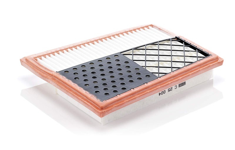 Mann Filter C 25 004 Air Filter - Image 1