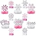 Lincia 12 Pcs Winter Onederland 1st Birthday Decorations Pink Snowflake Honeycomb Wonderland Table Centerpieces for Snowflake Birthday Party Supplies - Image 2