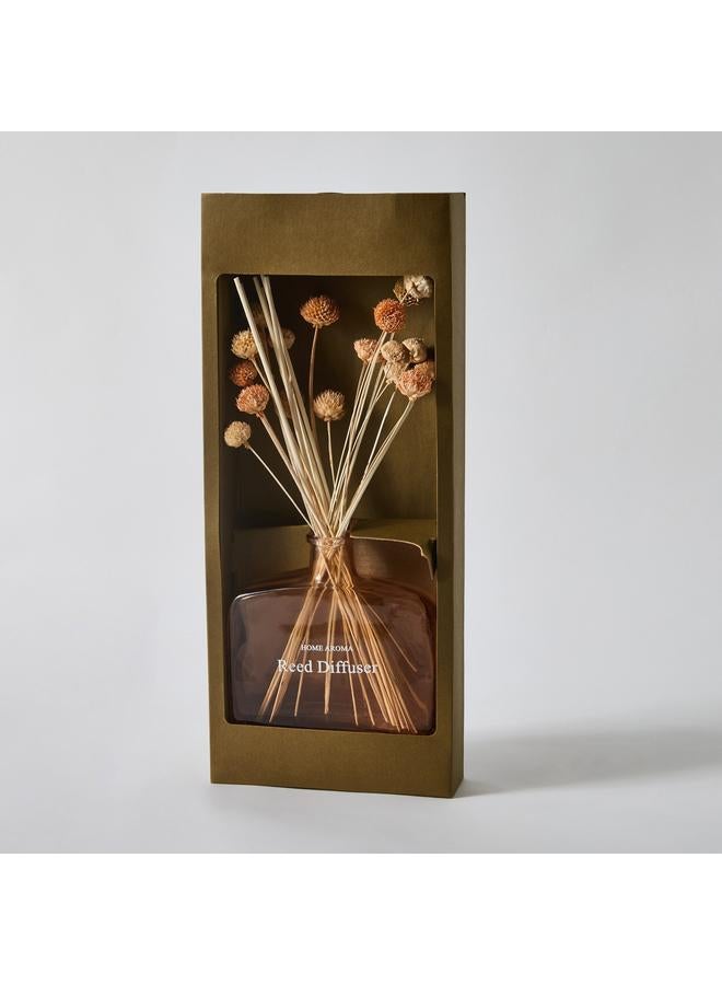 Home Box Seyna Daisy Reed Diffuser Bottle without Fragrance Solution - 16x5x38 cm  - Image 5