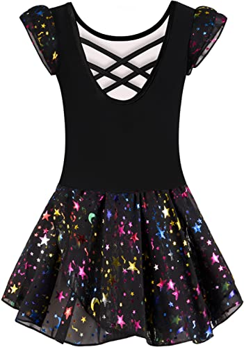 DANSHOW Ballet Leotards for Girls Dance Skirted Leotard Kids Ballet Tutu Dress Toddler Shiny Ruffle Sleeve Dancewear(40431-06-M) - Image 1