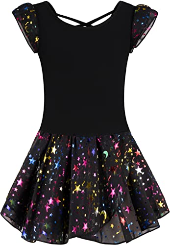 DANSHOW Ballet Leotards for Girls Dance Skirted Leotard Kids Ballet Tutu Dress Toddler Shiny Ruffle Sleeve Dancewear(40431-06-M) - Image 2
