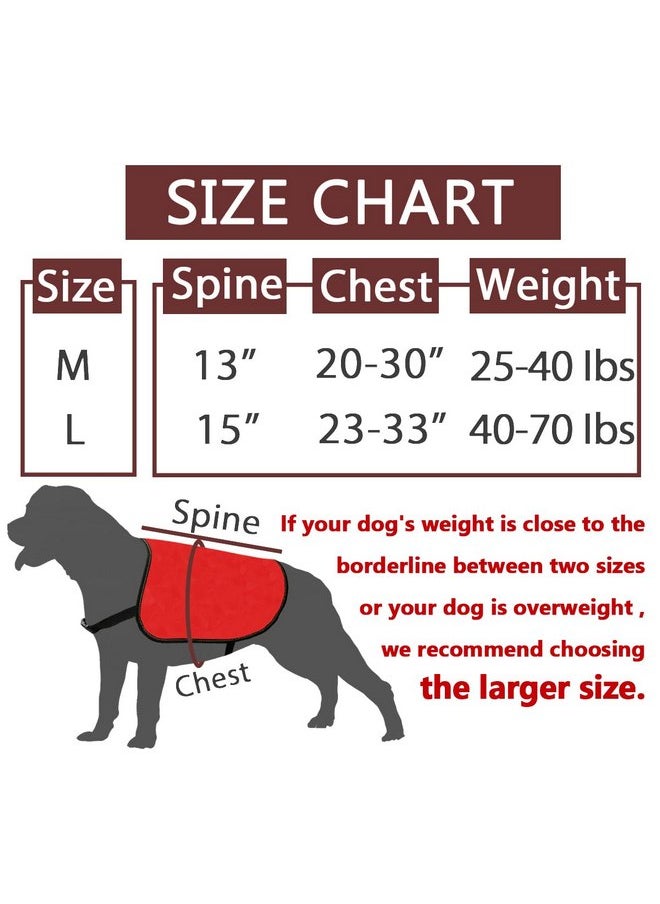 JXGZSO JXGZSO Adopt Me Dog Jacket Vest Adopt Me I’m A Foster Dog Jacket Vest New Puppy Dog (Adopt foster M)  - Image 2
