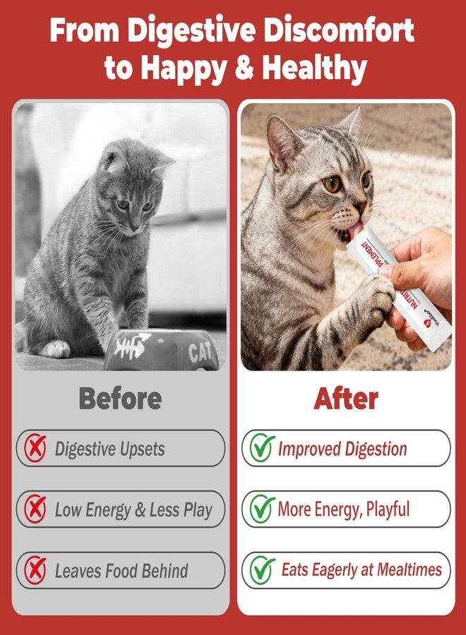 VivaElixir Probiotics for Cats & Digestive Support Gel – Cat Probiotic with Prebiotics, Taurine & Papain – Supports Gut Balance, Digestive Support & Immune Health – for Kittens & Adult Cats, Constipation Relief - Image 4