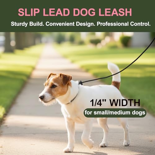 DISCPETSEC Slip Lead Dog Leash for Small & Medium Dogs, 1/4” x 4ft Sturdy Nylon Rope with Spring-Loaded Adjustable Stopper, Easy On/Off Training & Walking Slip Leash(Black, 4ft*1/4") - Image 5