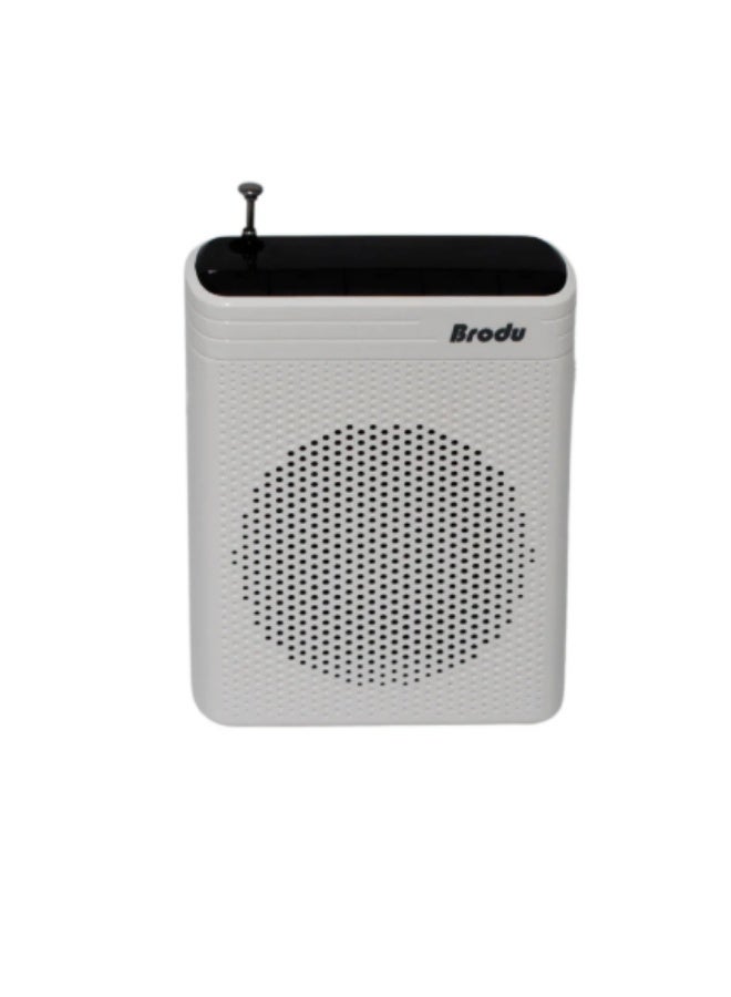 Brodu BTS-1385 Pocket Mini Voice Amplifier with Wired Microphone and 3-inch Subwoofer - Image 4