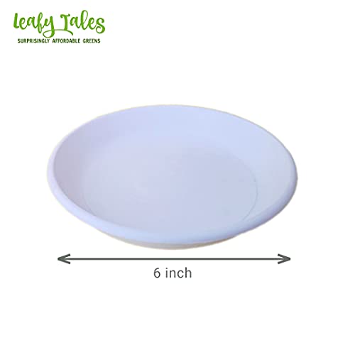 Leafy Tales Bottom Plate/Dripping Tray for Pots, White Color| (6-inch, White, Pack of 10) - Image 2