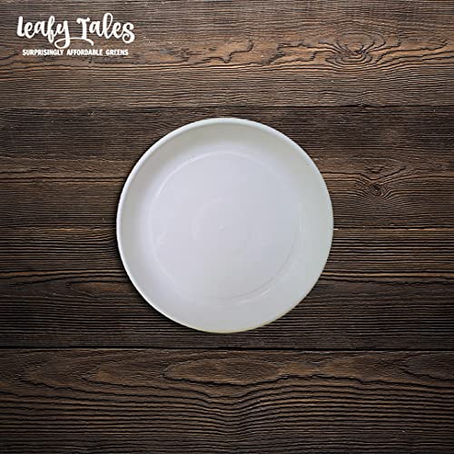 Leafy Tales Bottom Plate/Dripping Tray for Pots, White Color| (6-inch, White, Pack of 10) - Image 3