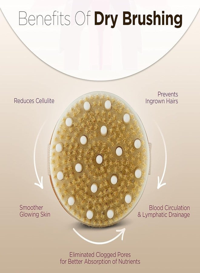 ToYooZe Dry Brushing Body Brush Exfoliating Brush Body Scrubber Wooden Shower Brush Body Exfoliator Dry Brush Bath Brush for Cellulite and Lymphatic, Improve Circulation, Stop Ingrown Hairs - Image 3