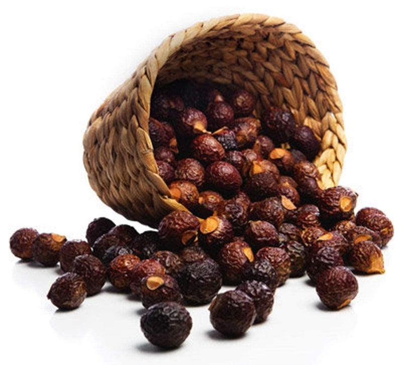 eVasavamba Reetha | Aritha | Soapberry | Herbal Soapnut | Rtiha | Antwala Kai | Kunkudu Kaayalu | Nolkottai | Urvanji | Mukamanji | Sapindus Mukorossi | A++ Grade, 400g - Image 3