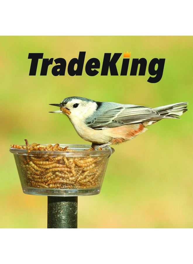 TradeKing - TradeKing 2 lb Dried Mealworms - High Protein Treat for Wild Birds, Chicken, Fish & Reptiles - Image 1