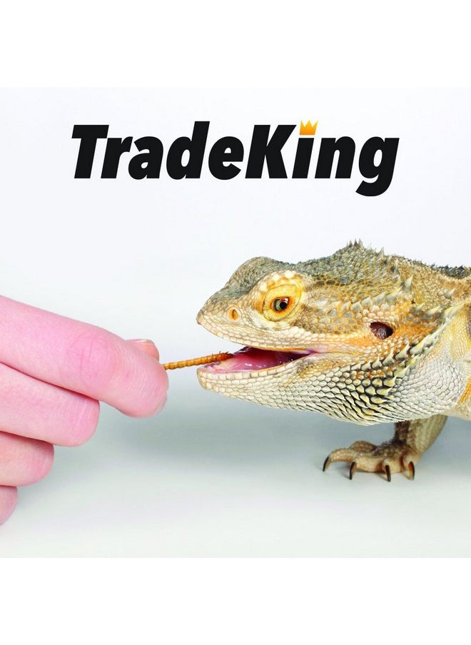 TradeKing - TradeKing 2 lb Dried Mealworms - High Protein Treat for Wild Birds, Chicken, Fish & Reptiles - Image 1