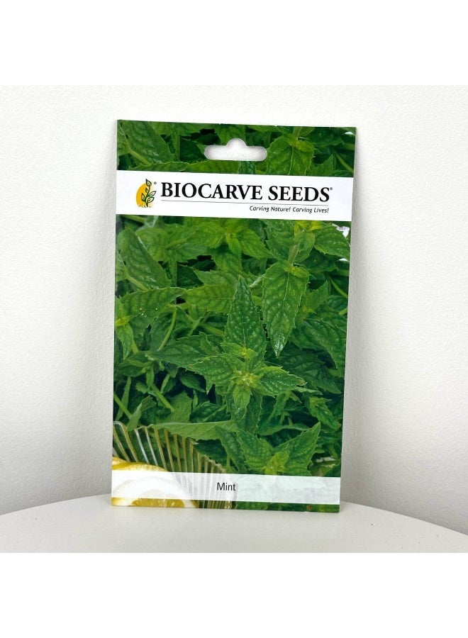 BIOCARVE SEEDS Mint seeds - Image 1
