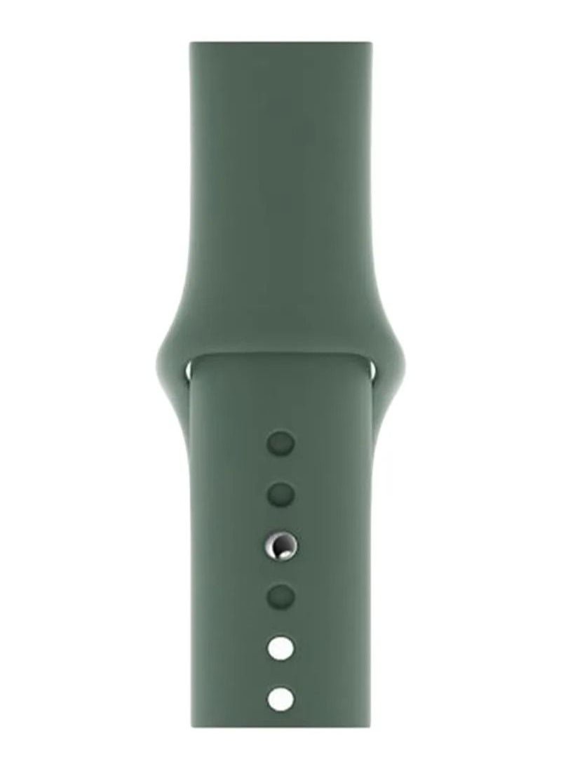 TWEGGON - Apple Watch Strap/Band Compatible With Compatible with 42mm(Series 10)/41mm/40mm/38mm Silicone Strap for Apple watch All Series Green - Image 1