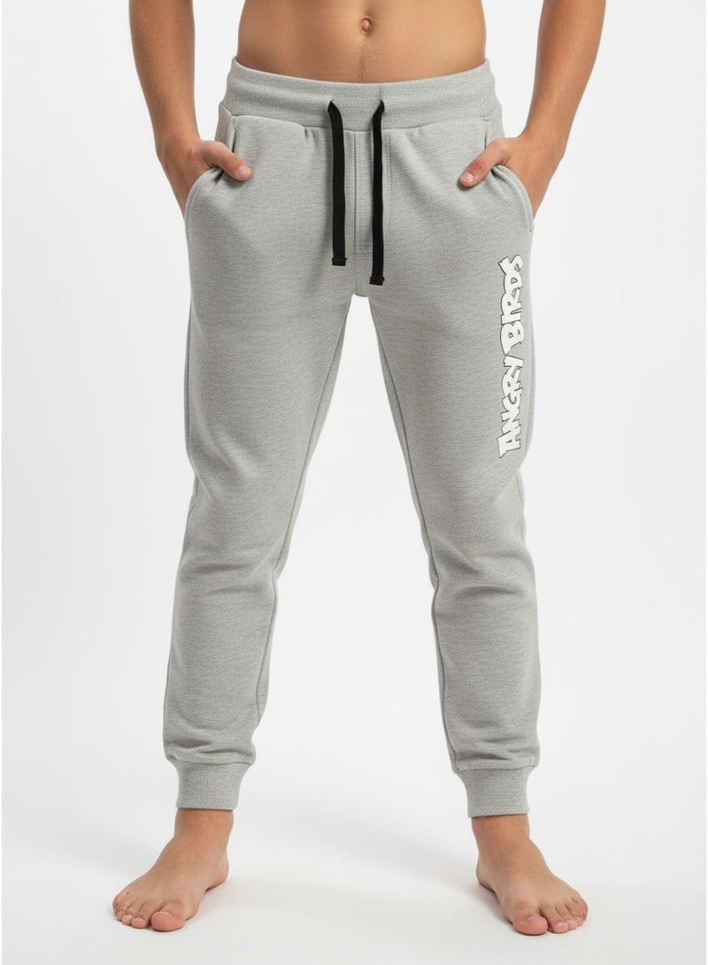 Angry Birds JOGGER BOYS ANGRY BIRDS - Image 2