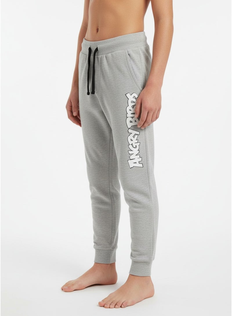 Angry Birds JOGGER BOYS ANGRY BIRDS - Image 1