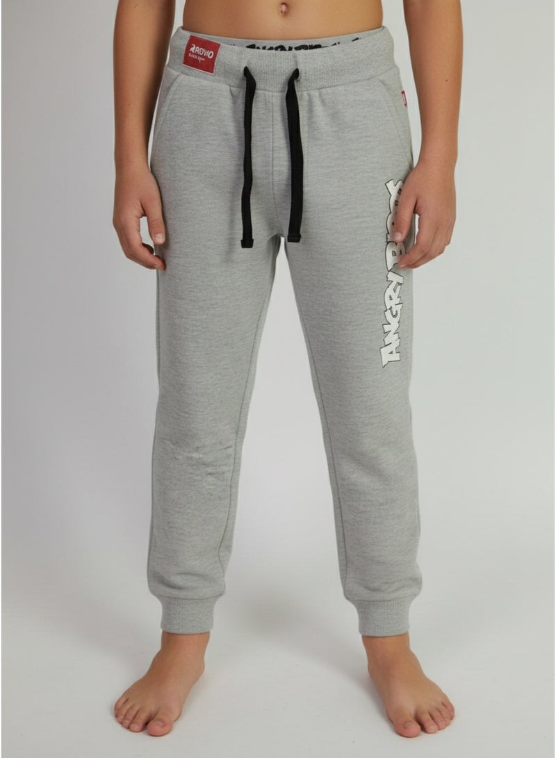 Angry Birds JOGGER BOYS ANGRY BIRDS - Image 4