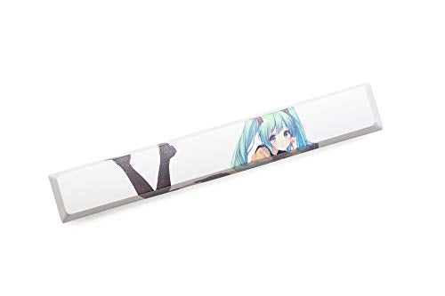 KPREPUBLIC Novelty Allover dye subbed Keycaps spacebar pbt Custom Mechanical Keyboard Plum Blossom Miku Snowman Ink Painting Matrix Opera (Spacebar Miku x1) - Image 4