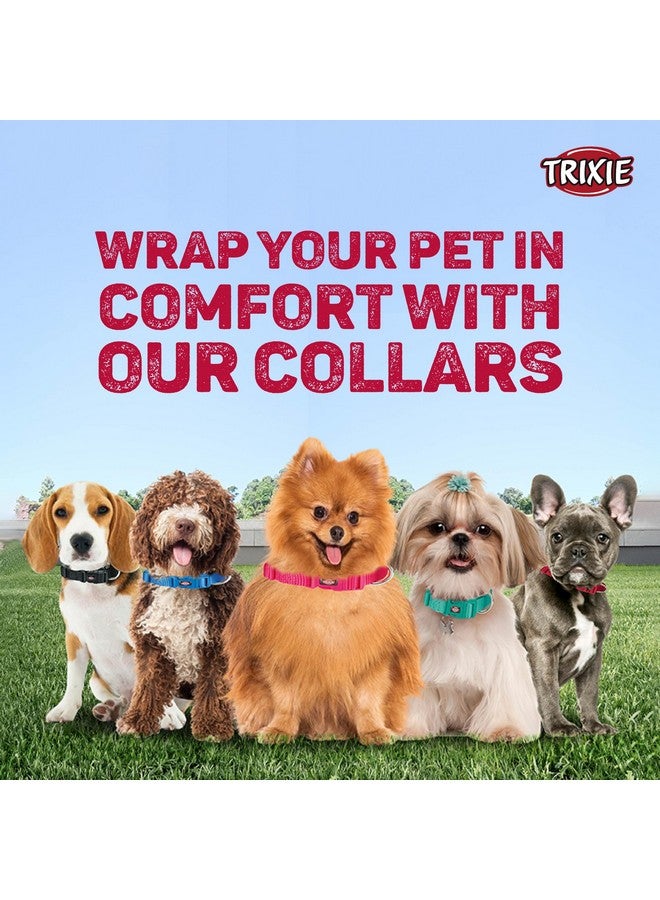 تريكسي حزام طوق للكلاب عالي الجودة، تصميم أنيق، شريط شبكي قابل للتعديل، تخفيف الضغط، مع موصل مقود، طوق رقبة للكلاب، 30-45 سم (متوسط، تفاحي) - عبوة من 4 قطع - Image 4