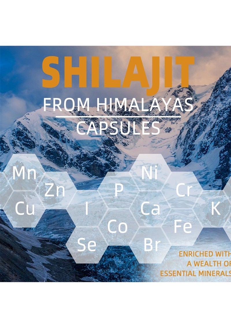 شيلاجيت آر إكس الهيمالايا shilajit الرجال والنساء كبسولات ( shilajeet ) - 600 ملغ من مكافئ الطاقة الطبيعية والقدرة على التحمل محسن - 60 كبسولات نباتي  - Image 5