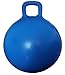 AppleRound Hippity Hoppity Hopball with Ball Pump 18in45cm Diameter for Age 37 Kangaroo Bouncer Space Hopper Ball with Handle for Children Printed Design Whale - Image 4