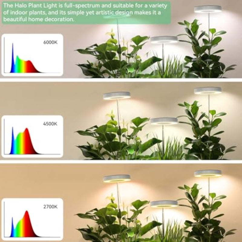 Grow Light, Full Spectrum LED Plant Grow Light for Indoor Plants, Height Adjustable LED Halo Grow Lamps, Auto On/Off Timer, 3 Colors and 10 Dimmable Brightness for Succulent Vegetables 2 Pack - Image 4