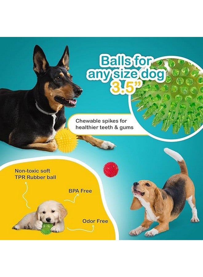 كرات الكلاب المدببة مقاس 3.5 بوصة (عبوة من قطعتين) ألعاب صرير للكلاب | تنظف الأسنان للحصول على لثة أكثر صحة | خالية من مادة البيسفينول أ غير السامة للمضغ العدواني | كرات مدببة - Image 3