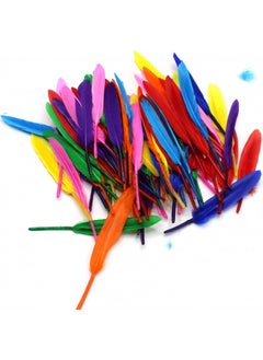 Colorful Bird Feather 20 Pieces - pzsku/ZBB7657BBFCCC5670EE29Z/45/_/1725794074/b126d8d9-520d-494b-ab5f-b824bd90c221