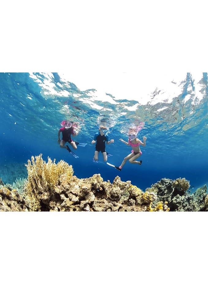 Cressi Little Shark Shorty Wetsuit Short Sleeves Children'S Unisex - Premium Neoprene 2 mm (11/12 years) - Image 4