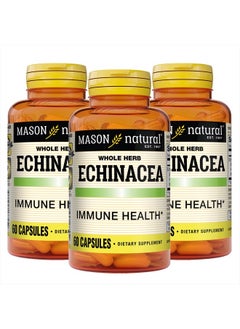 Echinacea - Immune System Booster, Supports Overall Health, Herbal Supplement, 60 Capsules (Pack of 3) - pzsku/ZBB7793FB699D9DDD5D69Z/45/_/1741161974/470c2c3b-4115-4c28-9709-74c17bd8ae72