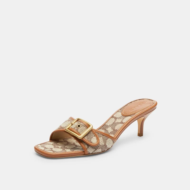 كوتش مارجوت سيج جيكد