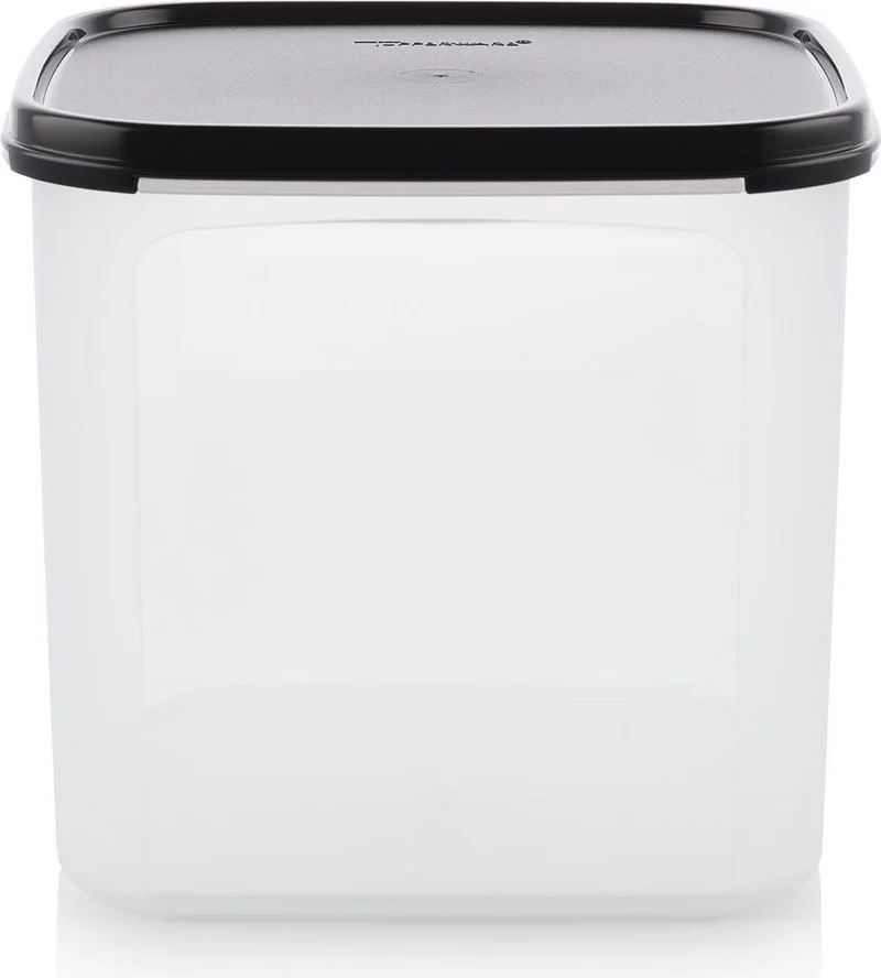 Tupperware Modular Dry Food Storage Container 4L