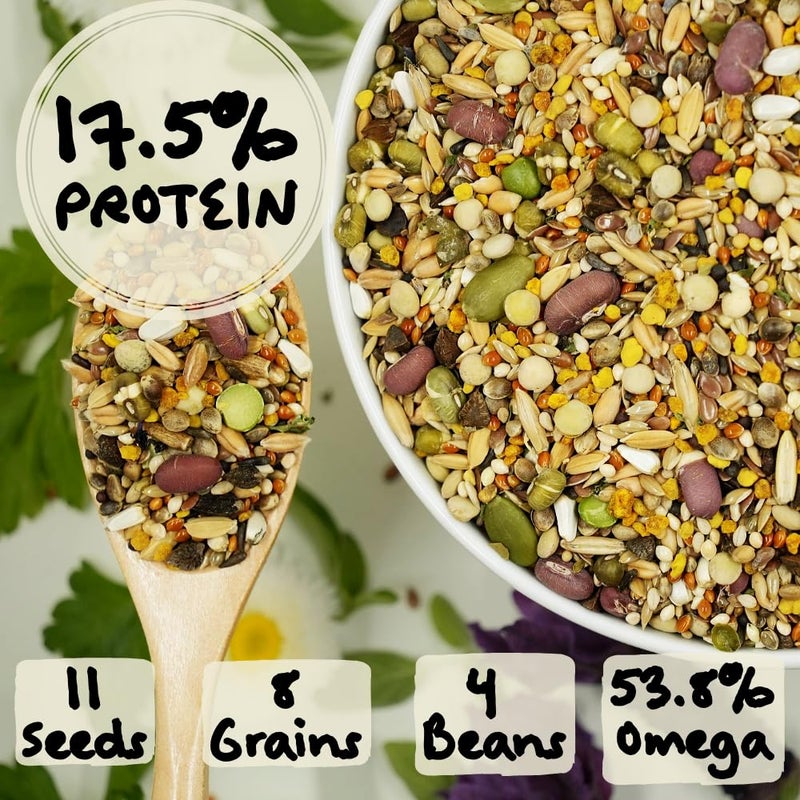 KikiBirds Feather Shine High Potency Blend with Bee Pollen & Freeze-Dried Sprouts - Premium Parrot Food for Molting, Breeding & Growth - Omega Rich | 17.5% Plant Protein | USA-Made - Image 3