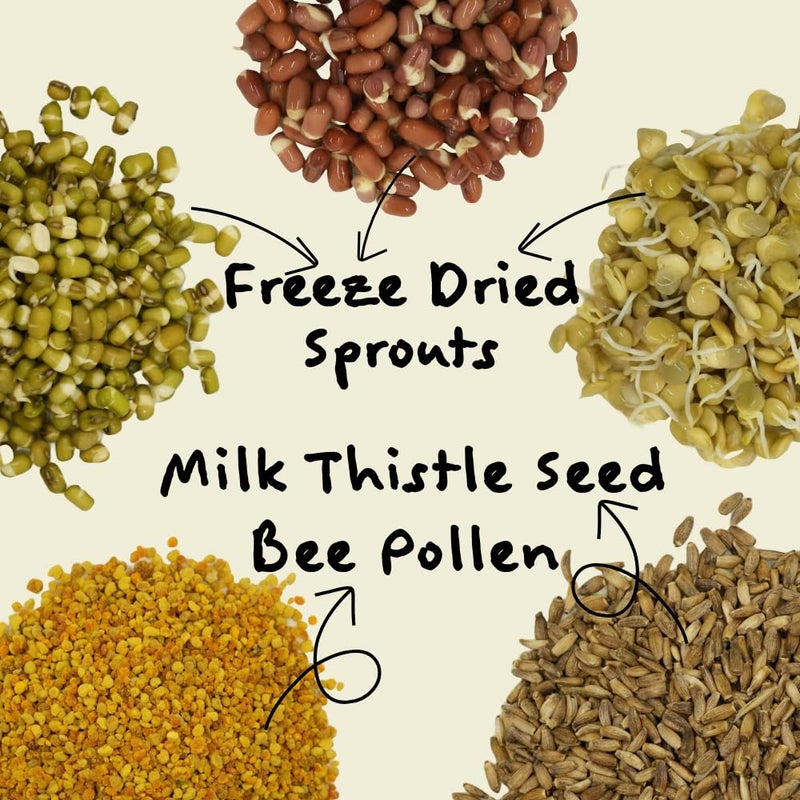 KikiBirds Feather Shine High Potency Blend with Bee Pollen & Freeze-Dried Sprouts - Premium Parrot Food for Molting, Breeding & Growth - Omega Rich | 17.5% Plant Protein | USA-Made - Image 2