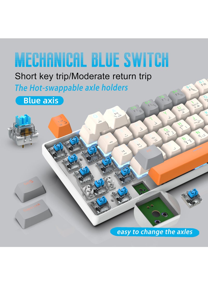 Rock Pow ROCK POW 60% Arabic English Mechanical Gaming Keyboard, 63keys RGB Backlit Ultra-Compact Mini Keyboard, Waterproof Mini Compact Keyboard for PC/Mac Gamer, Typist,Trip Hot  Swappable Blue Switch  - Image 2