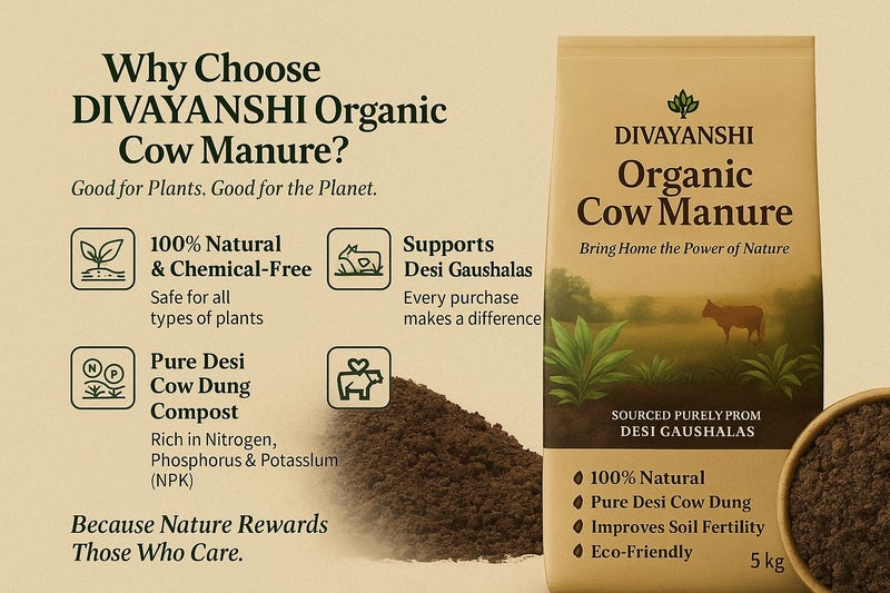 DIVAYANSHI Organic Cow Manure – Enriched Desi Cow Dung Compost | Nourishes Plants Naturally for Healthy Growth & Blooming Gardens (1kg- Pack of 2) - Image 4