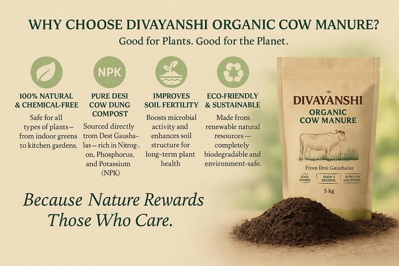 DIVAYANSHI Organic Cow Manure – Enriched Desi Cow Dung Compost | Nourishes Plants Naturally for Healthy Growth & Blooming Gardens (1kg- Pack of 2) - Image 3