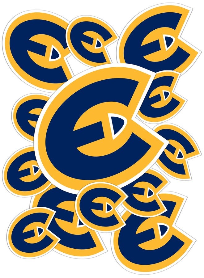 Desert Cactus University of Wisconsin Eau Claire Sticker UWEC Blugolds Sticker Vinyl Decals Laptop Water Bottle Car Scrapbook T3 (Type 3-1) - Image 1