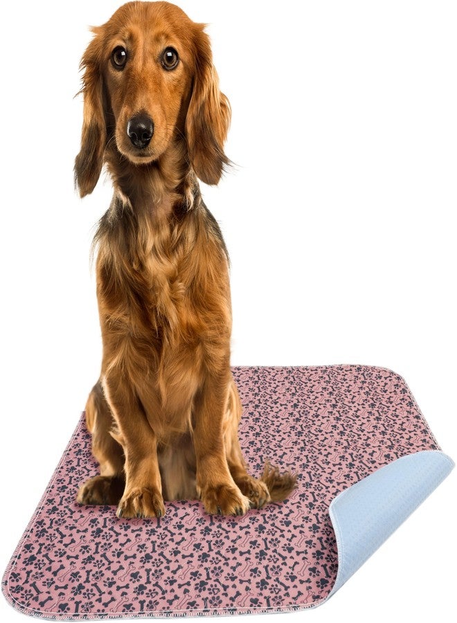 AMU Solutions Washable Pee Pads for Dogs Superior Reusable Puppy Pads Pet Training Pads - 100% Waterproof Dog Pee Pad Protects Against Urine Leakage Non-Slip Grip - Paws & Bones Print (24 x 30 (2 Pack)) - Image 4