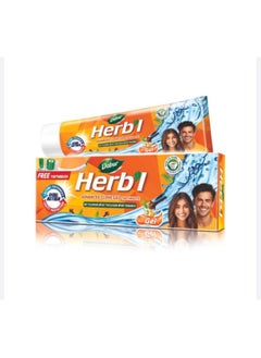 Dabur Dabur Herbal Advanced Clove Gel Toothpaste with Brush - 150 gm  - Image 1