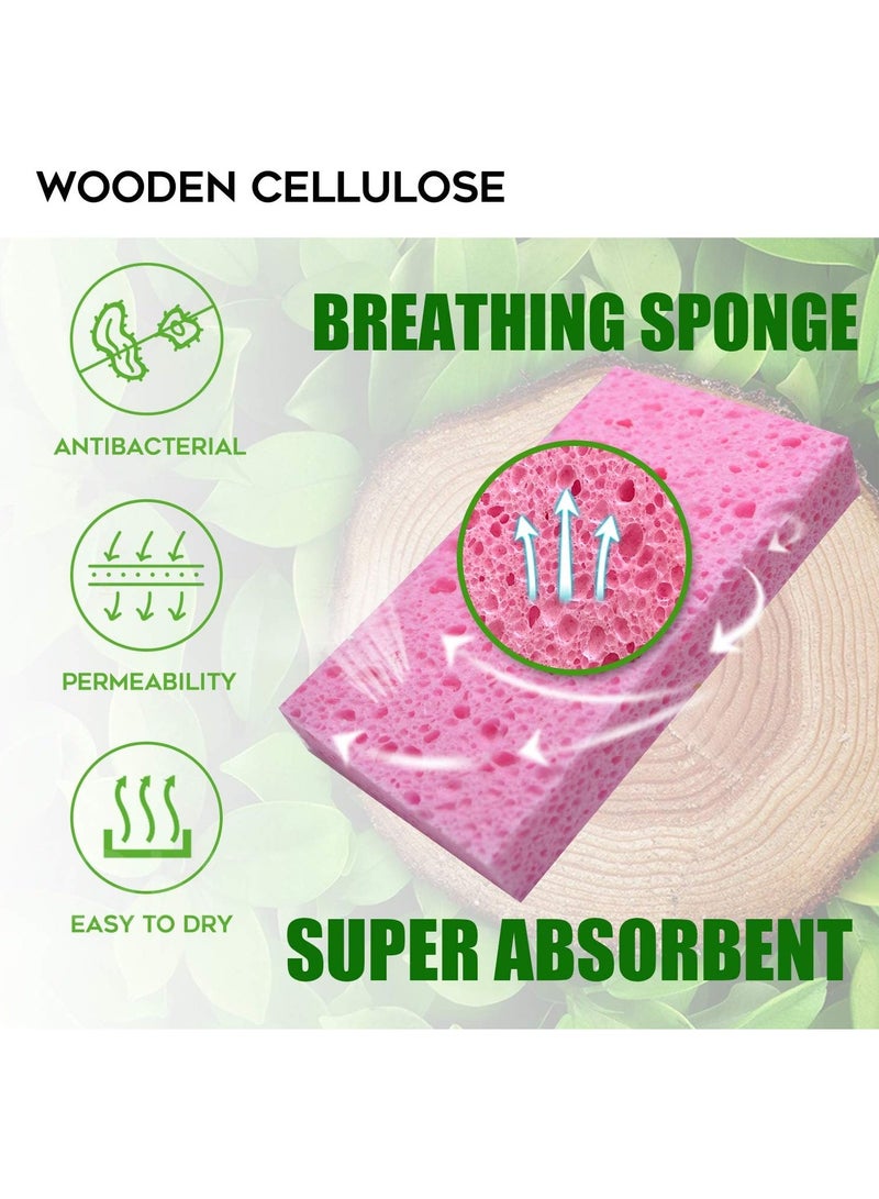 Cuken 7 Pieces Dishwashing Sponges, Kitchen Colorful Dish washing Sponge, Biodegradable Natural Sponge - Image 3
