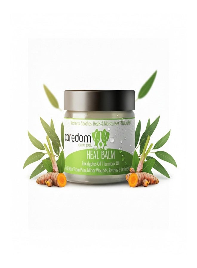 كردم بلسم كيردوم كيور بيت الطبيعي للشفاء ٥٠ غرام | راحة سريعة للجروح والطفح الجلدي والبقع الساخنة | شفاء وحماية طبيعية للبشرة | عضوي وآمن لللعق وغير لزج | للعناية بالكلاب والقطط والجراء والقطط الصغيرة - Image 1