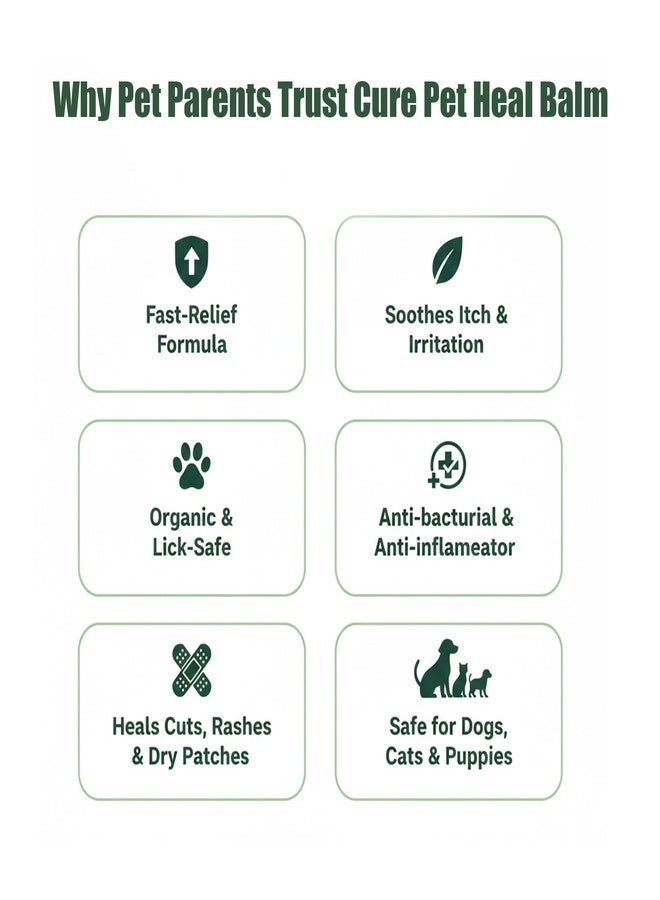 كردم بلسم كيردوم كيور بيت الطبيعي للشفاء ٥٠ غرام | راحة سريعة للجروح والطفح الجلدي والبقع الساخنة | شفاء وحماية طبيعية للبشرة | عضوي وآمن لللعق وغير لزج | للعناية بالكلاب والقطط والجراء والقطط الصغيرة - Image 5