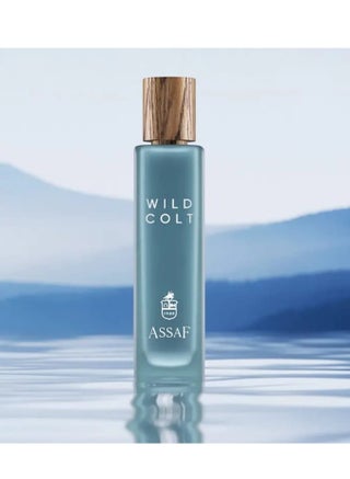 Wild Colt 100 ml - pzsku/ZBB7D5D6BCFF8AA0956A7Z/45/_/1707669373/e1201c72-1e67-406b-b66a-0a8ae5f9a7b7