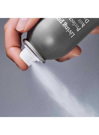 Fast-Acting Dry Shampoo - Refreshes Hair Instantly, Absorbs Dirt & Oil for a Clean Feel, Extends Time Between Washes (184 ml) - view 3