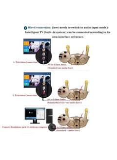 SDRD Karaoke Machine Portable Speaker Bluetooth Karaoke Speaker with Dual Wireless Mic for Kids and Adults – Wireless Speaker for Indoor and Outdoor Party, Birthday – SD-306  - Image 3