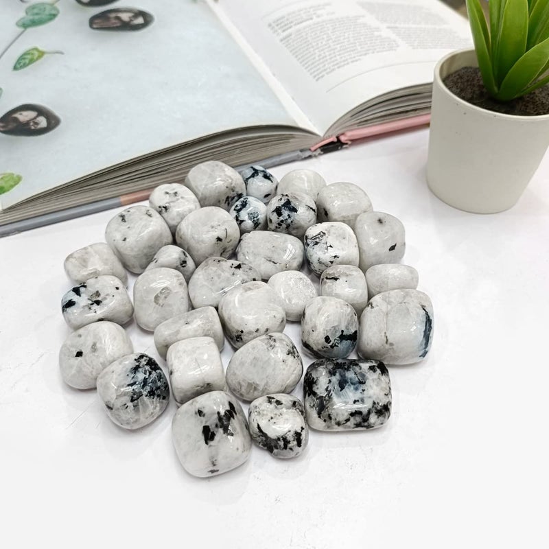 Shubhanjali Shubhanjali Reiki Healing Rainbow Moonstone Crystal Single Tumble Stone Raw Rainbow Moonstone Tumble Gemstone Pebble for Aquarium Home Decorative Garden Table Vastu Correction 1 Pc White  - Image 2