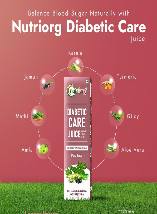 Nutriorg Diabetic Care Juice 250 ML, Controls Blood Sugar Level, Diabetes Care Juice, 100% Natural & Organic Detox Juice, No Added Sugar - Image 3