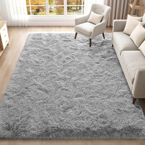 ISEAU Fluffy Dorm College Apartment Bedroom Rug 4 x 6 Feet Shaggy Area Rugs Floor Mat for Living Room Fuzzy Carpet Comfy Nursery Mats Bedside Kids Boys Room Home Decor Grey