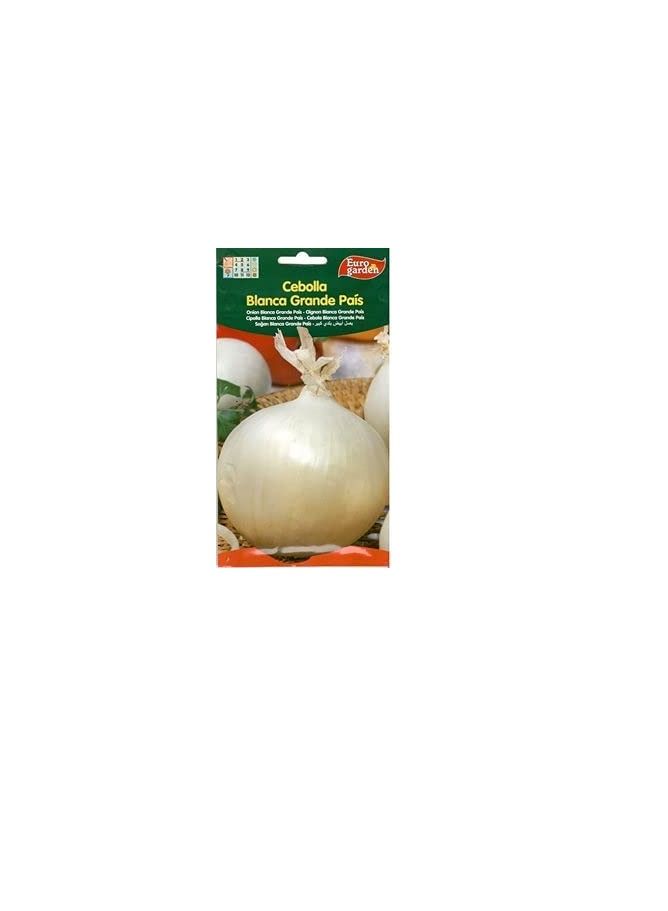 Euro Euro Garden Onion White - Image 3