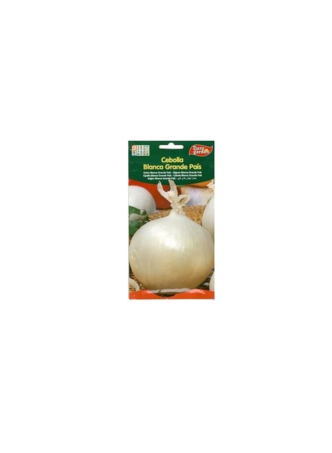 Euro Euro Garden Onion White - Image 2
